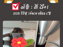 미나.gif